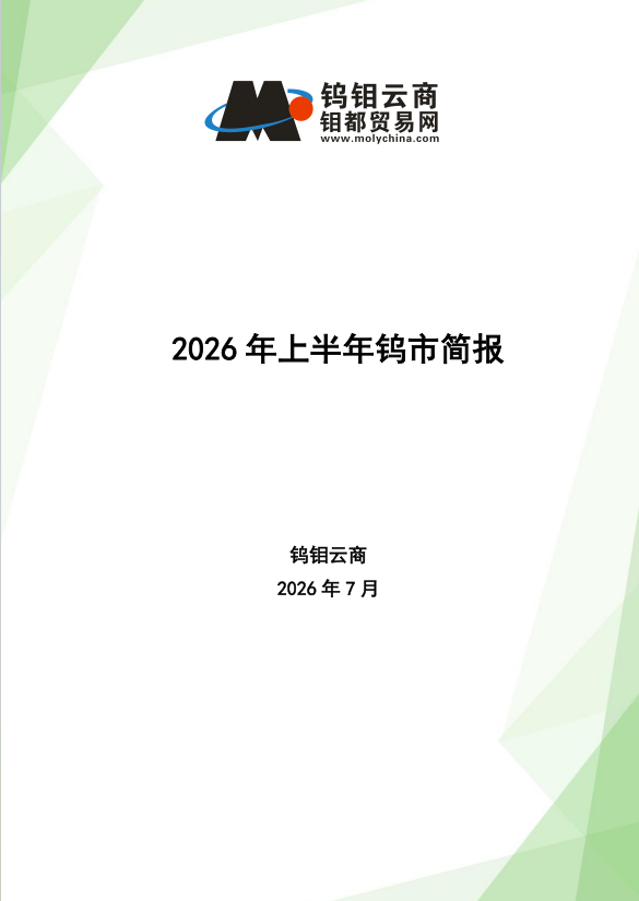 钨报告封面.png